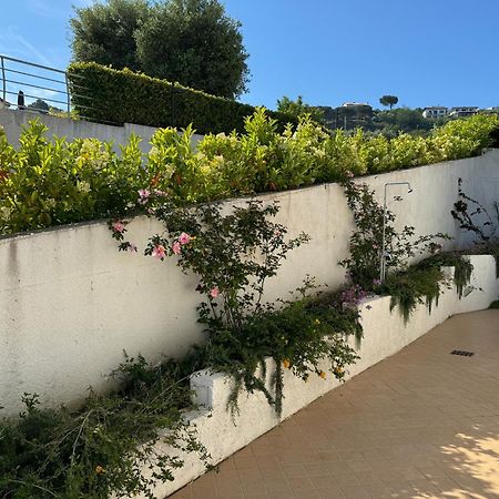 Villa Dei Fiori Zambrone Eksteriør billede
