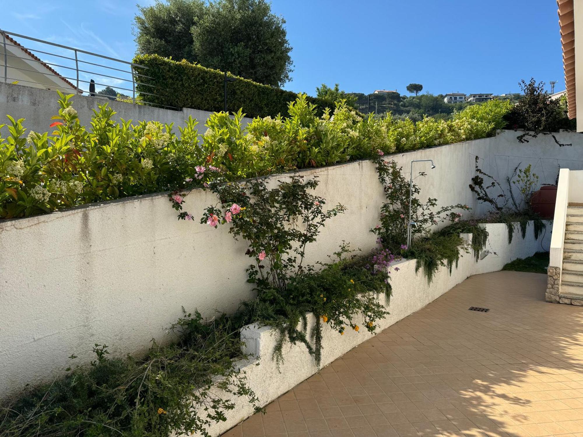 Villa Dei Fiori Zambrone Eksteriør billede