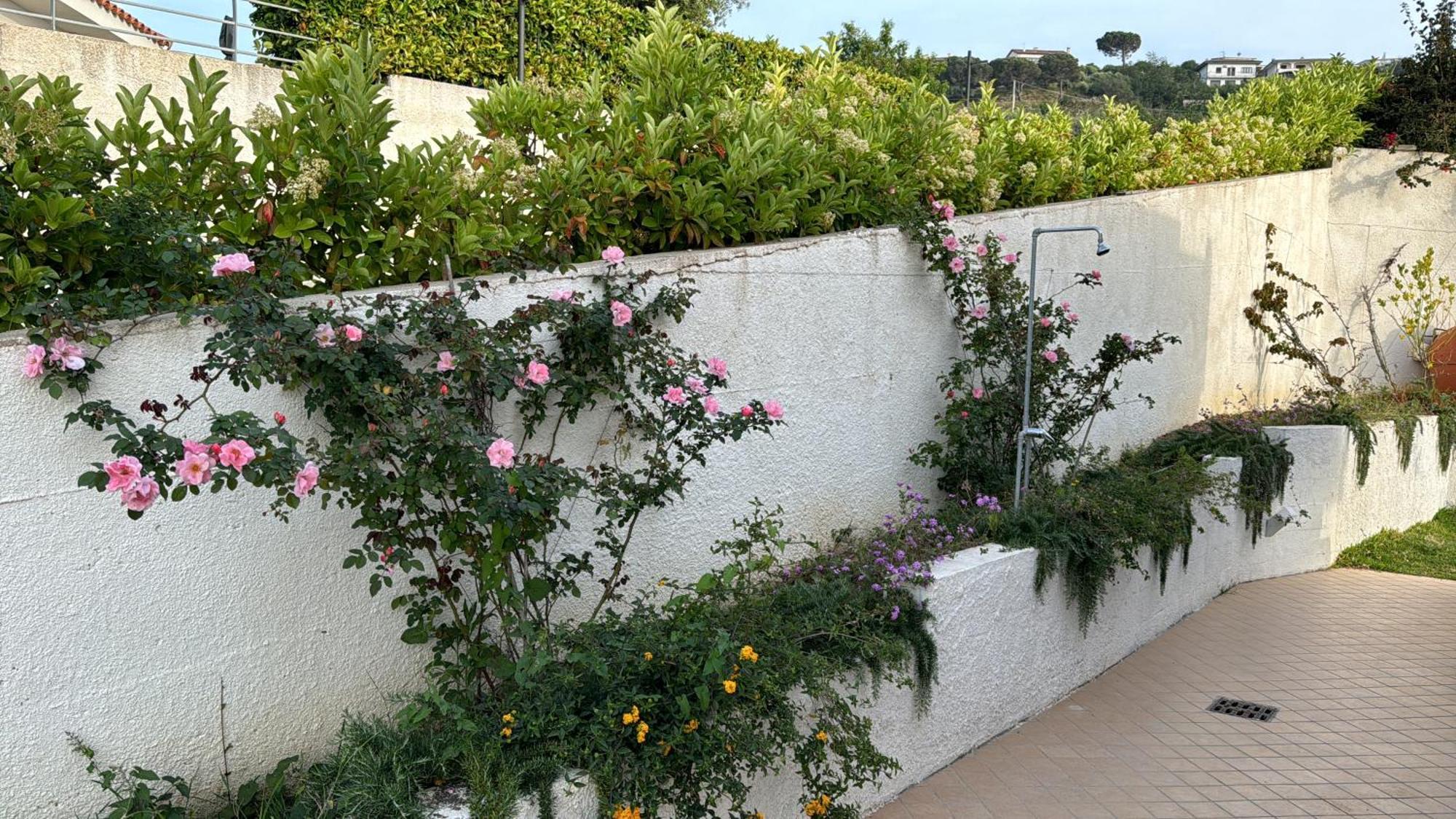 Villa Dei Fiori Zambrone Eksteriør billede