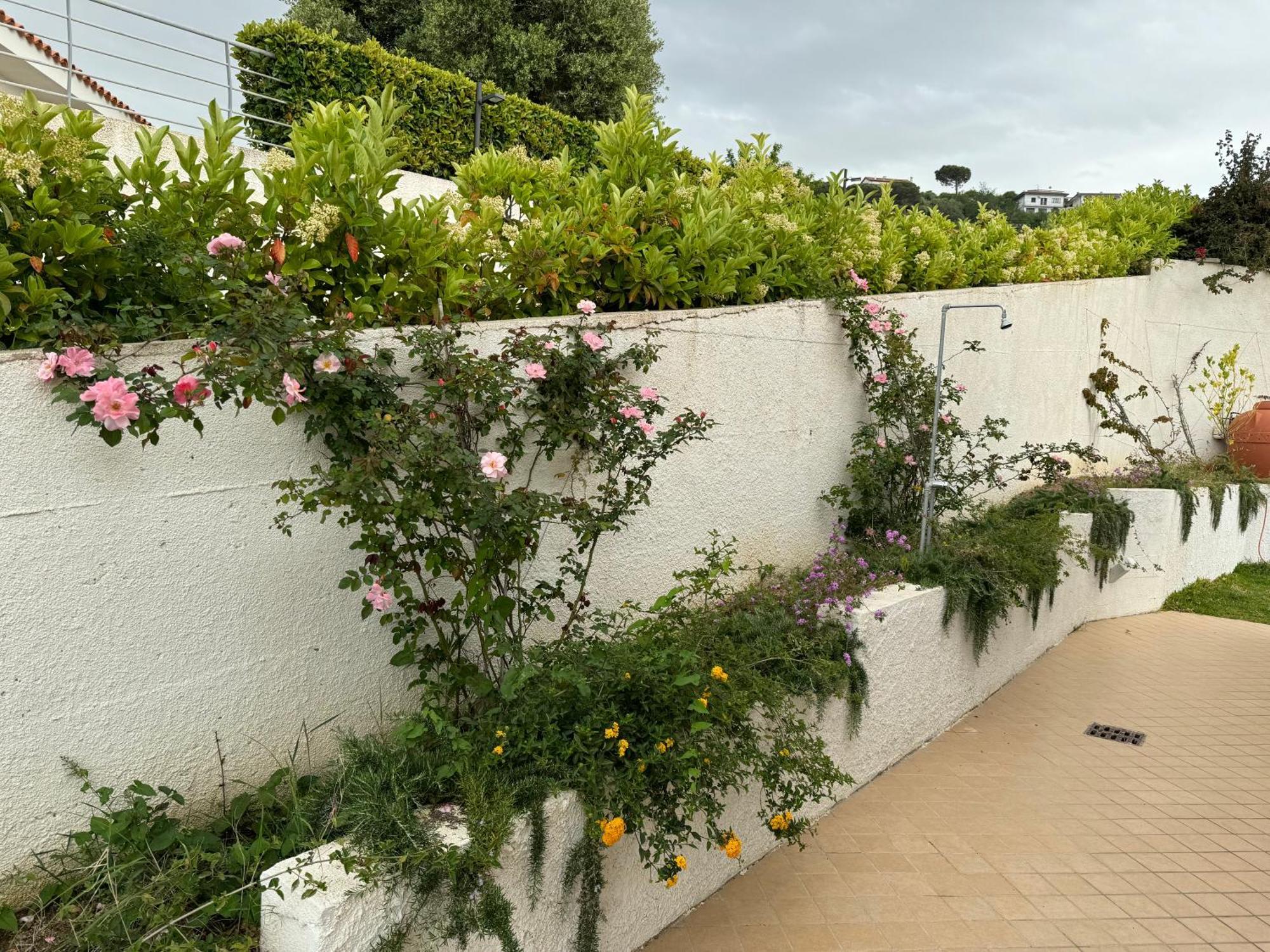 Villa Dei Fiori Zambrone Eksteriør billede